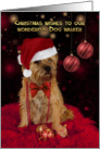 Dog Walker Border Terrier Dog In A Santa Hat Happy Christmas card