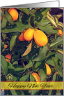 Chinese New Year Year Kumquat Trees card