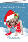 Grandson, Pug Dog With Cute Santa Hat And Ornament card