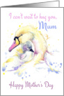 Swan And Signet For Mother’s Day Mum card