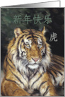 Chinese New Year With Vintage Oil Painted Tiger With Symbols card