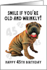 humorous shar pei old and wrinkly birthday card
