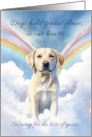 Loss of pet Dog deepest Sympathy with Labrador and Rainbow card