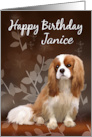 Birthday Card With King Charles Spaniel card