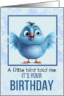 Birthday with Little Fluffy Bluebird in a Frame with Blue Background card