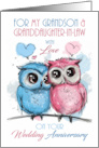 Grandson and Granddaughter in Law Wedding Anniversary with Owls card