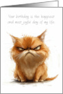 Grumpy Humor your Birthday is the Happiest Day of my Life card