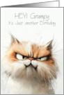 Hey Grumpy It’s Just Another Birthday Funny Grumpy Cat card