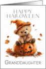 Granddaughter Halloween with Little Bear on a Pumpkin and Leaves card