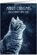 Merry Christmas and a Happy New Year with Silver Tabby Cat card