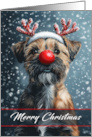 Border Terrier Christmas Wearing a Big Shiny Nose and Antlers card