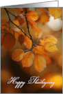 Thanksgiving Fall Leaves in Rich Golds and Creams card