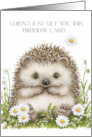 Hedgehog and Daisy Humor Fun and Cute card