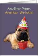 Another Year, Another Wrinkle, Shar Pei Dog In Party Hat card