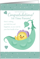 1st Time Parents Pregnancy Congratulations card