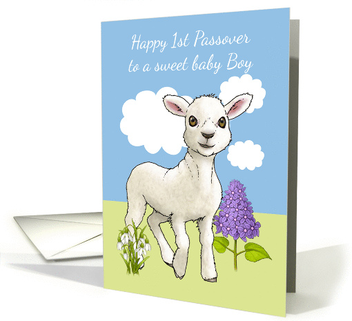 Baby Boy's First Passover With Little Lamp And Spring Flowers card