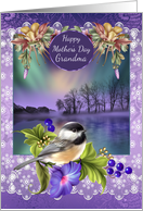 Grandma Mother’s Day, With Bird Flowers Lance And The Northern Lights card