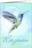 Koszonom - Hungarian Thank You - With Watercolor Hummingbird card