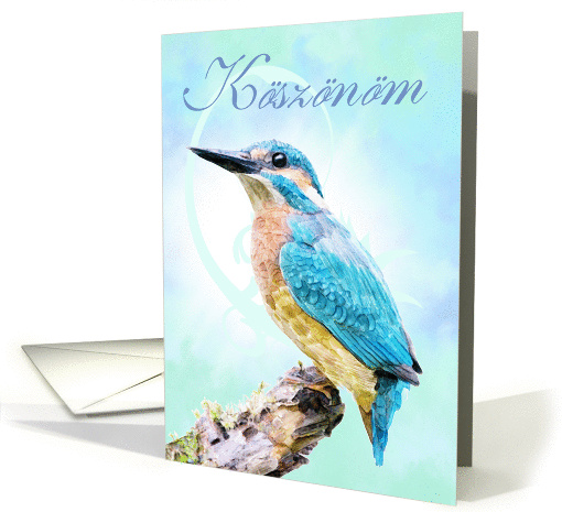 Koszonom - Hungarian Thank You - With Watercolor Kingfisher card