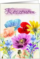 Koszonom - Hungarian Thank You - With Watercolor Wild Flowers card