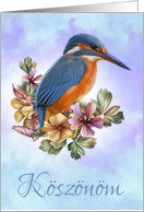 Koszonom - Hungarian Thank You - With Oil Painted Kingfisher card