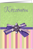 Koszonom - Hungarian Thank You - With Blended Colors card
