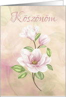 Koszonom - Hungarian Thank You - With Magnolia Flower card
