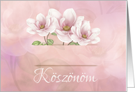 Koszonom - Hungarian Thank You - With Magnolia Flower card