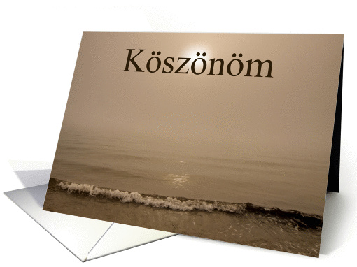 Koszonom - Hungarian Thank You - With Ocean Haar Fog card (1372998)
