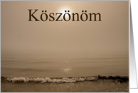 Koszonom - Hungarian Thank You - With Ocean Haar Fog card