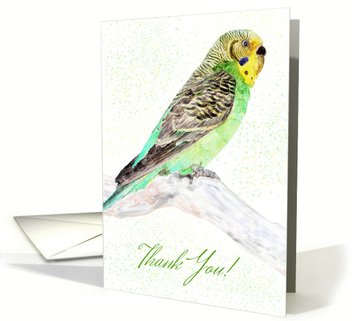 Budgerigar Thank You - Watercolor Green And Yellow Budgie card