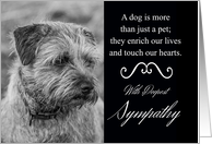Loss Of Pet Dog Sympathy With Reflective Border Terrier card
