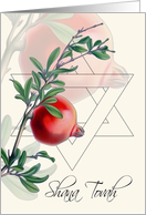 Rosh Hashanah, Oil Painted Pomegranate card