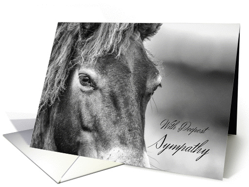 Horse Pet Sympathy With Wild Exmoor Pony card (1394932)