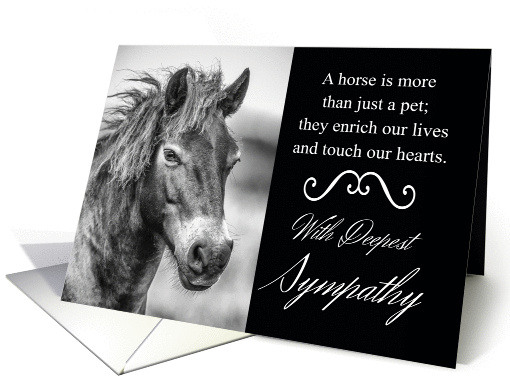 Horse Pet Sympathy With Wild Exmoor Pony card (1394934)