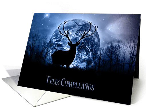 Feliz Cumpleanos - Happy Birthday In Spanish card (1397120)