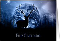 Feliz Cumpleanos - Happy Birthday In Spanish card