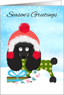 Black Poodle Season’s Greetings, Poodle Dressed In Winter Warmers card