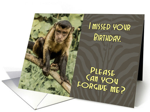 Sorry I missed your Birthday Sad Looking Capuchin Monkey card