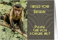 Sorry I missed your Birthday Sad Looking Capuchin Monkey card