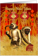 Chinese New Year, Year Of The Monkey, Two Monkey’s With Coin card