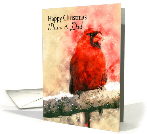 Mum & Dad, watercolor Christmas cardinal bird on a snowy branch card
