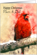 Mum & Dad, watercolor Christmas cardinal bird on a snowy branch card