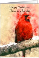 Nana & Grandad, watercolor Christmas red cardinal bird card