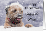 Mom & Dad Border Terrier Dog In The Snow card