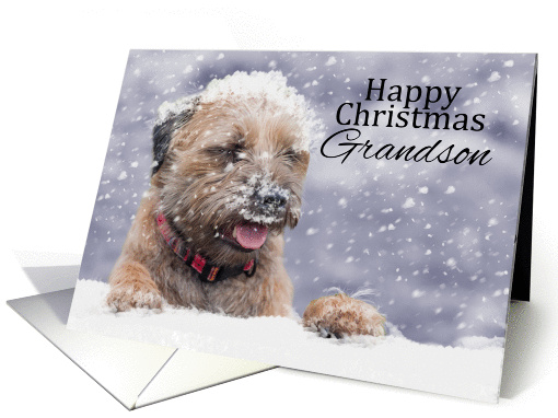 Grandson, Christmas, Border Terrier Dog In The Snow card (1410698)