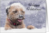 Border Terrier Dog In The Snow, Happy Holidays card