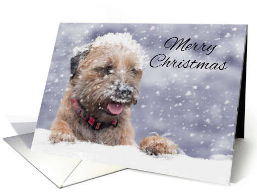 Border Terrier Dog In The Snow, Merry Christmas card (1410710)