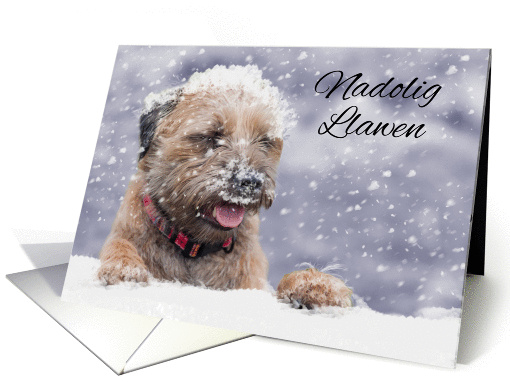 Border Terrier Dog In The Snow, Nadolig Llawen, Welsh Language card