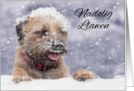 Border Terrier Dog In The Snow, Nadolig Llawen, Welsh Language card